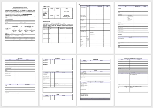 Aperçu de la trame vide du registre de vérification spéciale, la checkliste du propriétaire à l'intention du chef de bord.